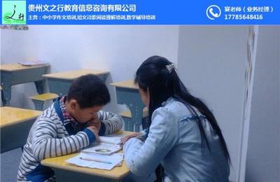 貴州文之行教育信息咨詢 專業引領，助力教育夢想